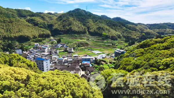 蕉城区石后乡大岭村聚力实干推进乡村振兴