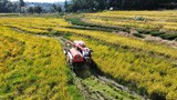赤溪“农管家”托举起农户种粮底气