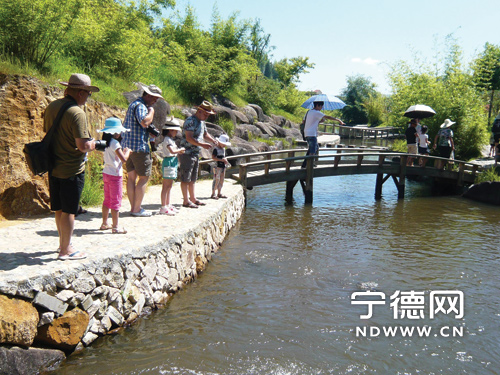 周宁成为游客休闲避暑好去处--宁德蕉城在线--