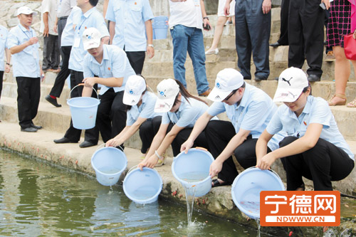 宁德市成立霞法青年志愿者服务中心--宁德蕉城